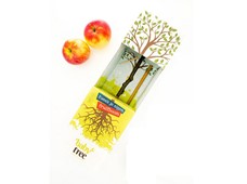 Produktbild Fruktträd Baby tree